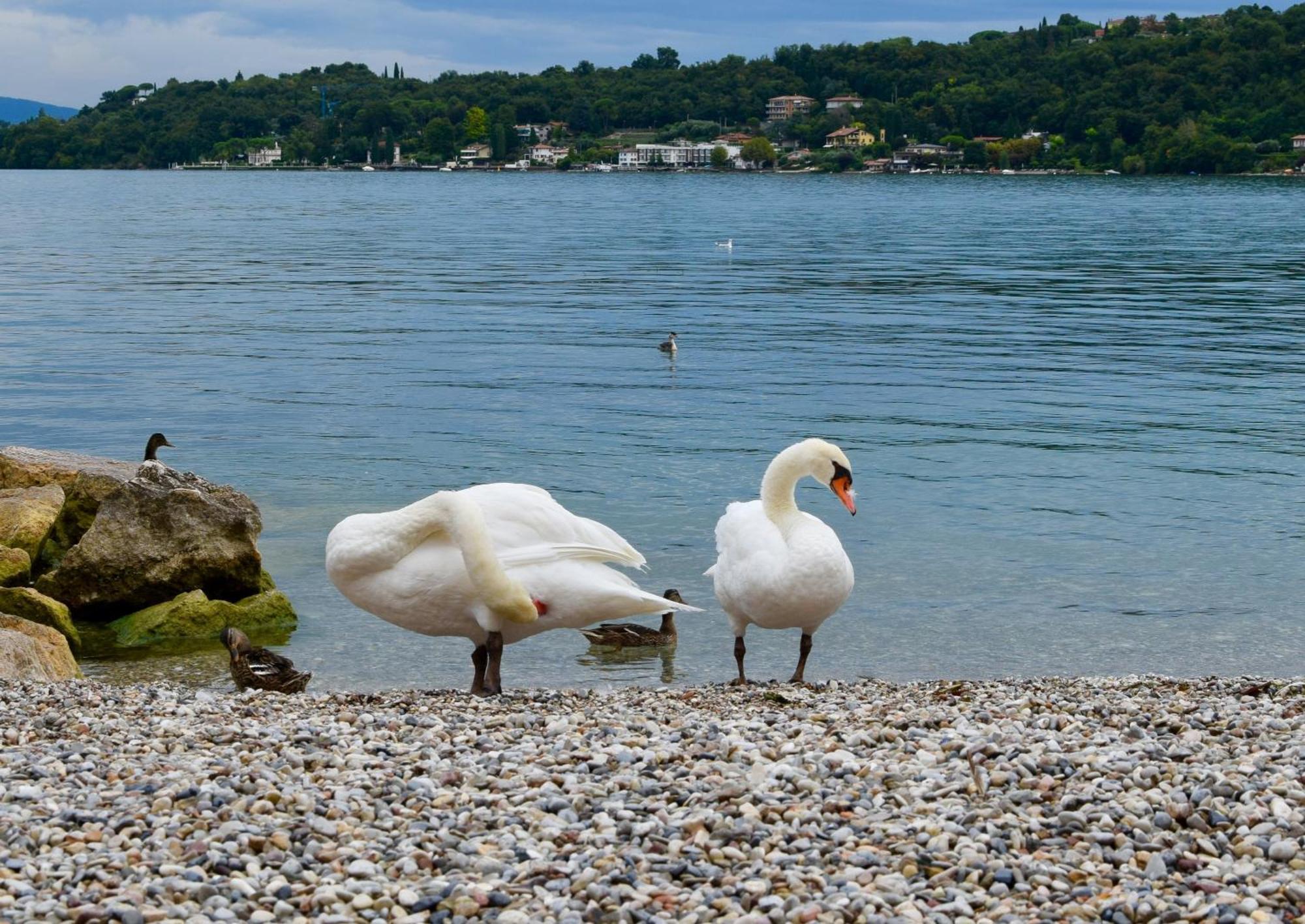 Villa Donne del Lago Vittoria Salò Esterno foto